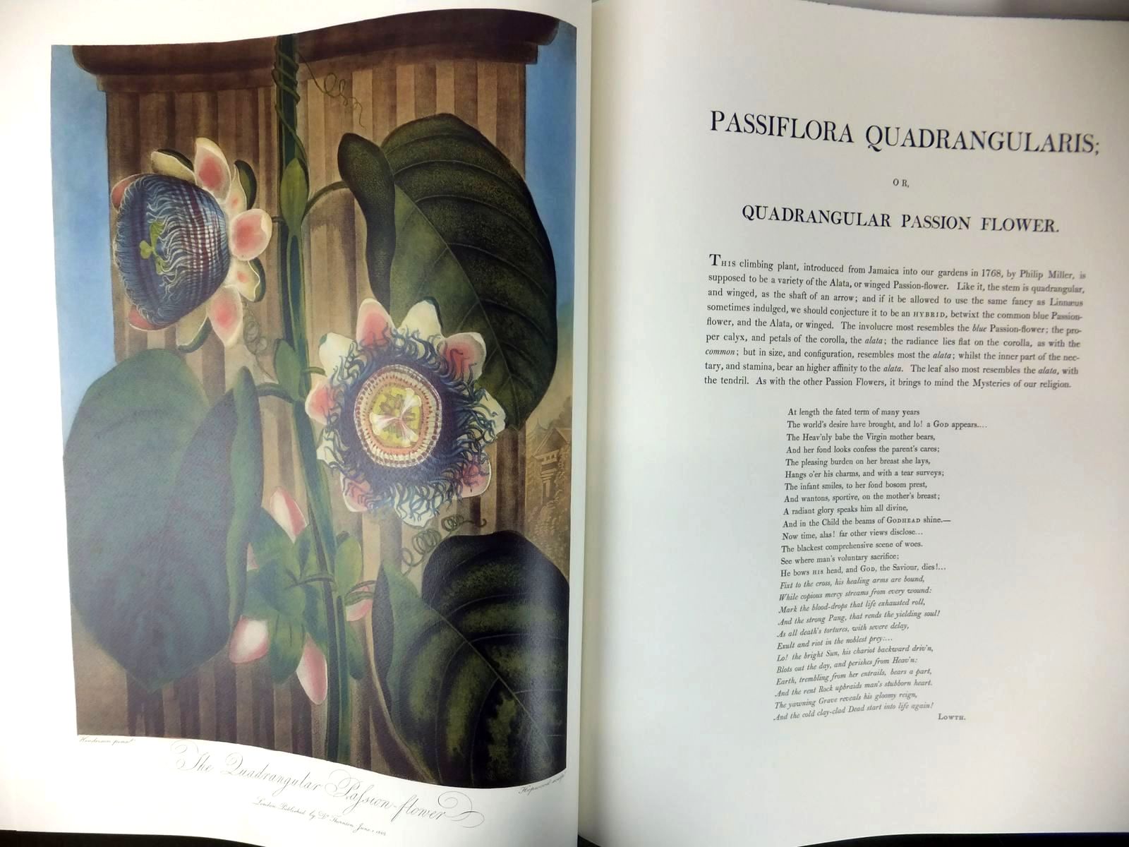 Stella & Rose's Books THE TEMPLE OF FLORA Written By Stephen Harris