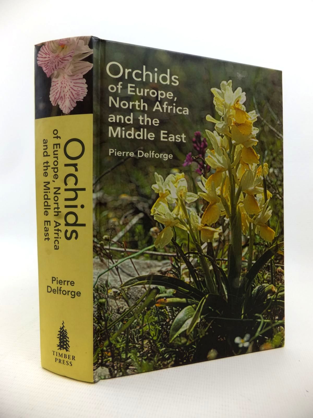 Stella & Rose's Books