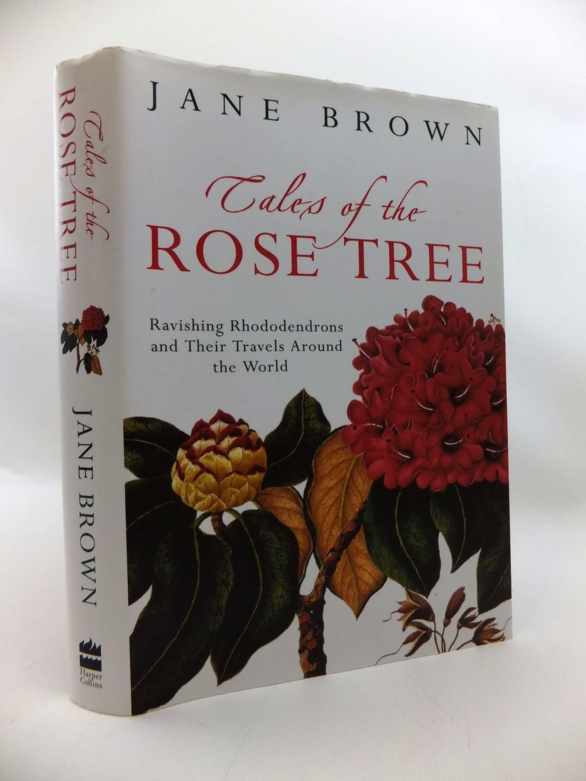 Photo of TALES OF THE ROSE TREE- Stock Number: 1814290