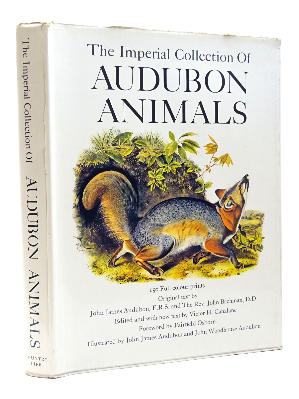 Stella & Rose's Books