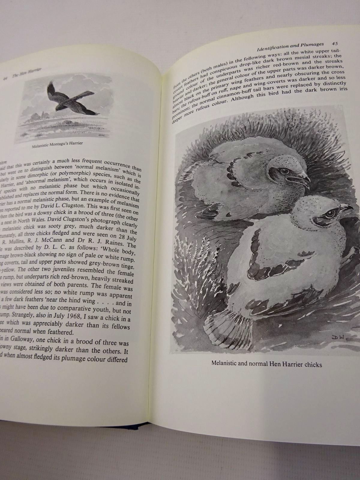 Photo of THE HEN HARRIER written by Watson, Donald illustrated by Watson, Donald published by T. & A.D. Poyser (STOCK CODE: 1815871)  for sale by Stella & Rose's Books