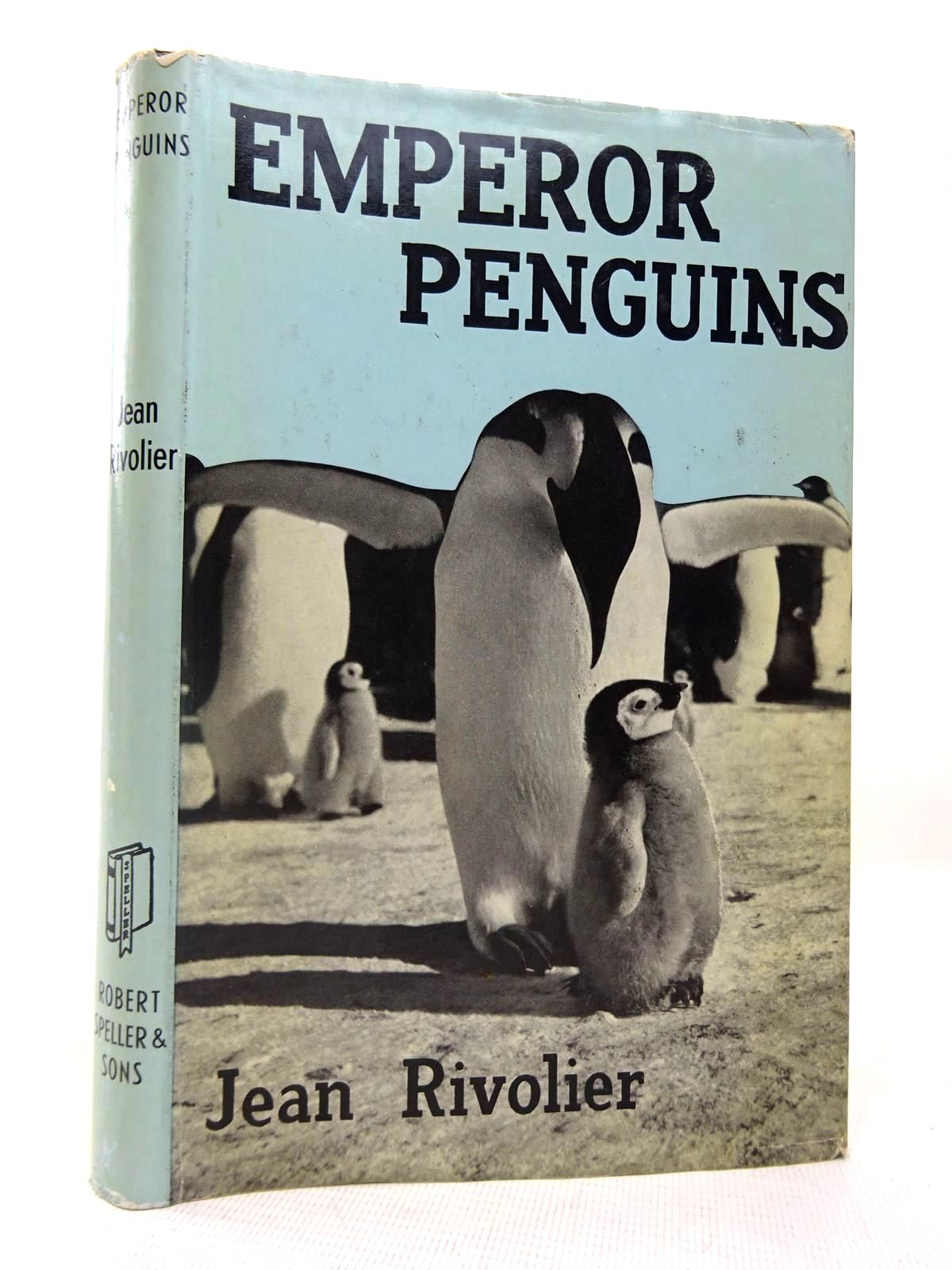 Photo of EMPEROR PENGUINS- Stock Number: 1816491