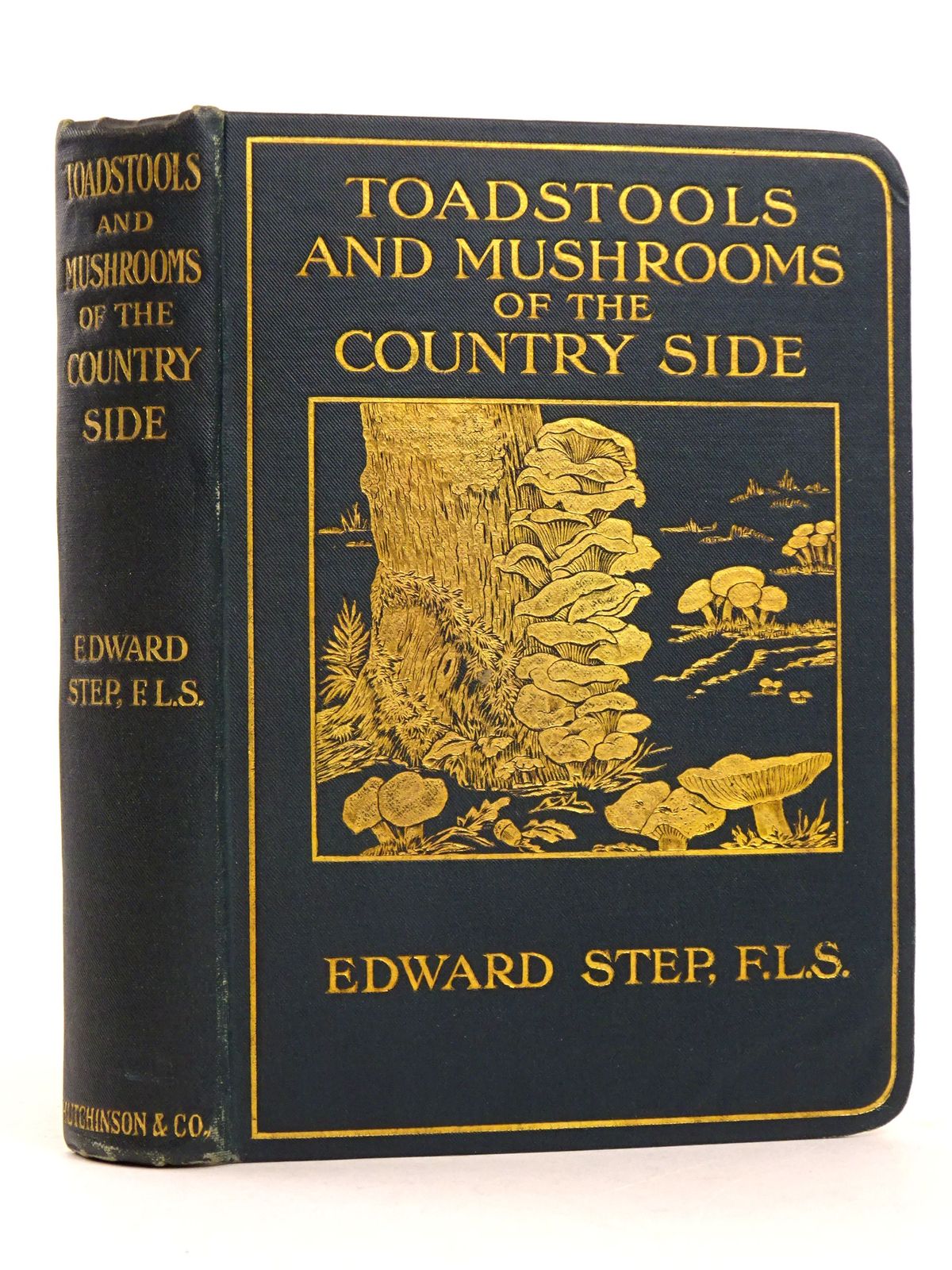 Toadstools And Mushrooms Of The Countryside