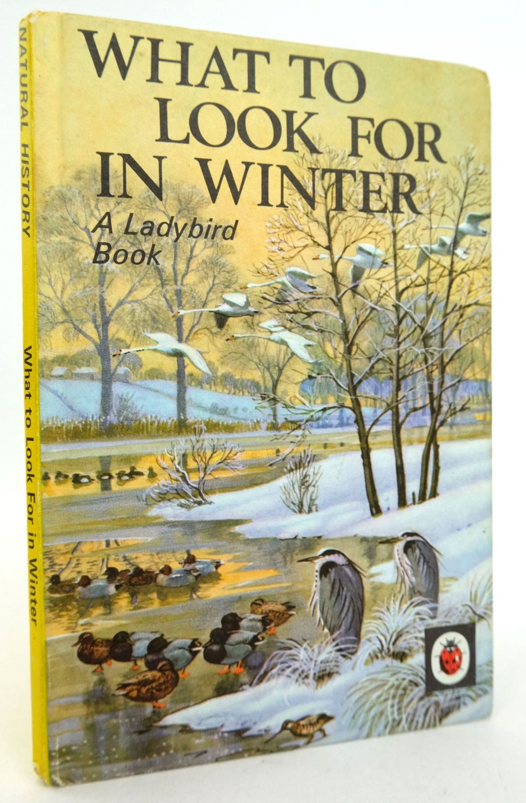 Stella & Rose's Books WHAT TO LOOK FOR IN WINTER Written By E.L