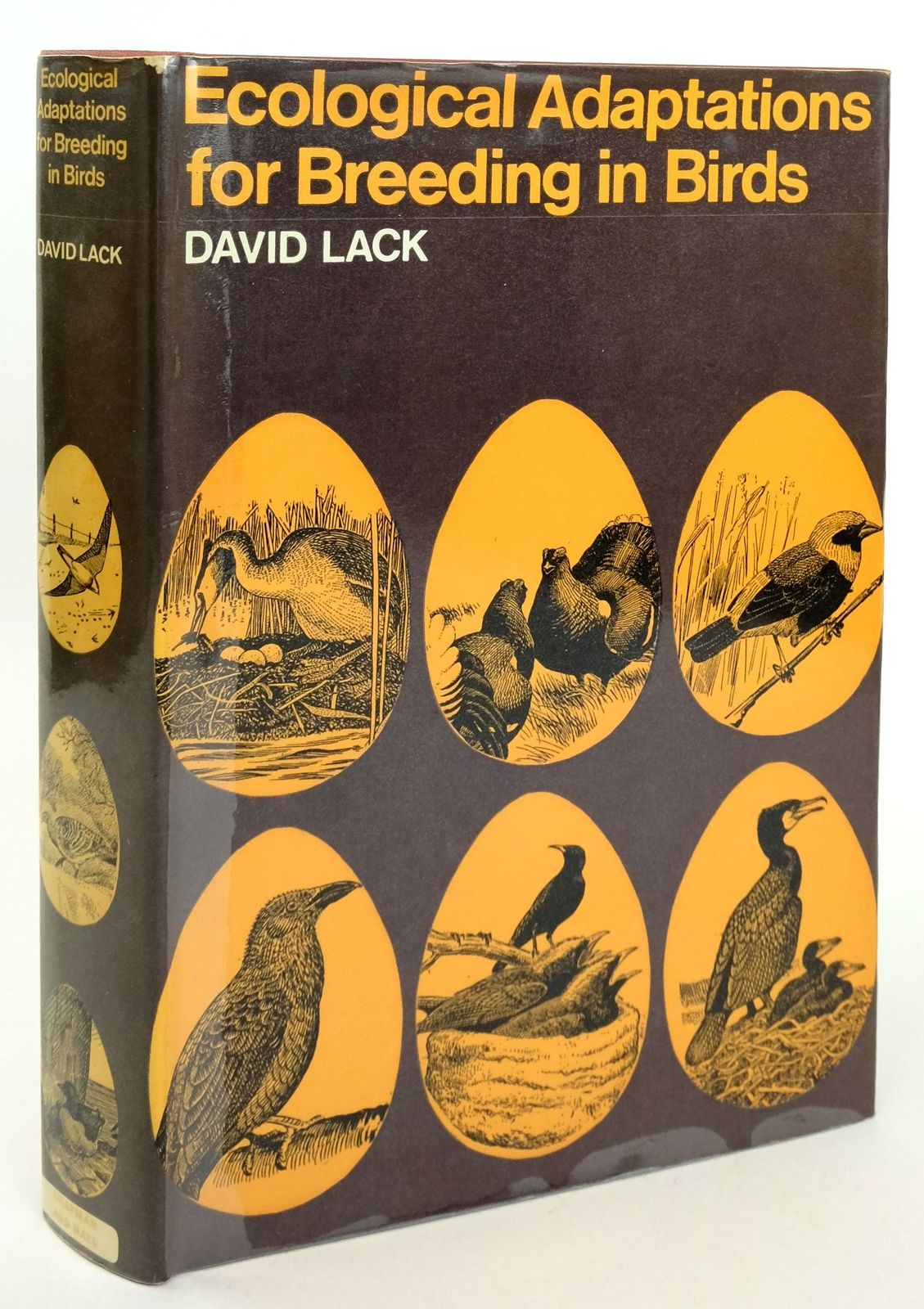 Photo of ECOLOGICAL ADAPTATIONS FOR BREEDING IN BIRDS written by Lack, David illustrated by Gillmor, Robert published by Chapman &amp; Hall (STOCK CODE: 1819228)  for sale by Stella & Rose's Books
