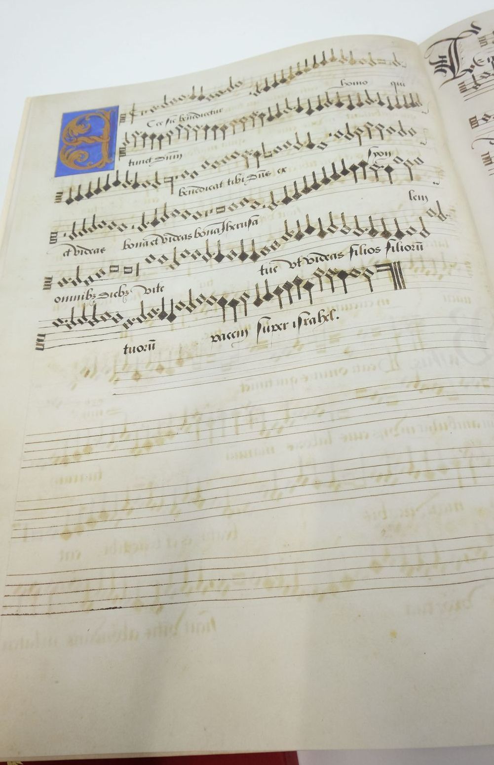 Photo of MUSIC FOR KING HENRY written by Bell, Nicolas
Skinner, David published by Folio Society (STOCK CODE: 1821643)  for sale by Stella & Rose's Books