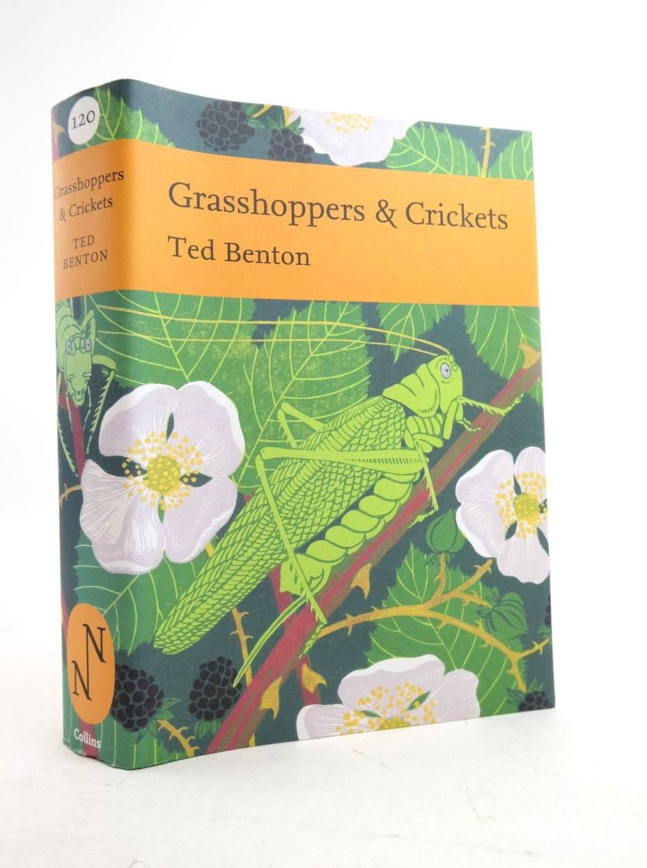 Photo of GRASSHOPPERS &AMP; CRICKETS (NN 120) written by Benton, Ted published by Collins (STOCK CODE: 1821646)  for sale by Stella & Rose's Books