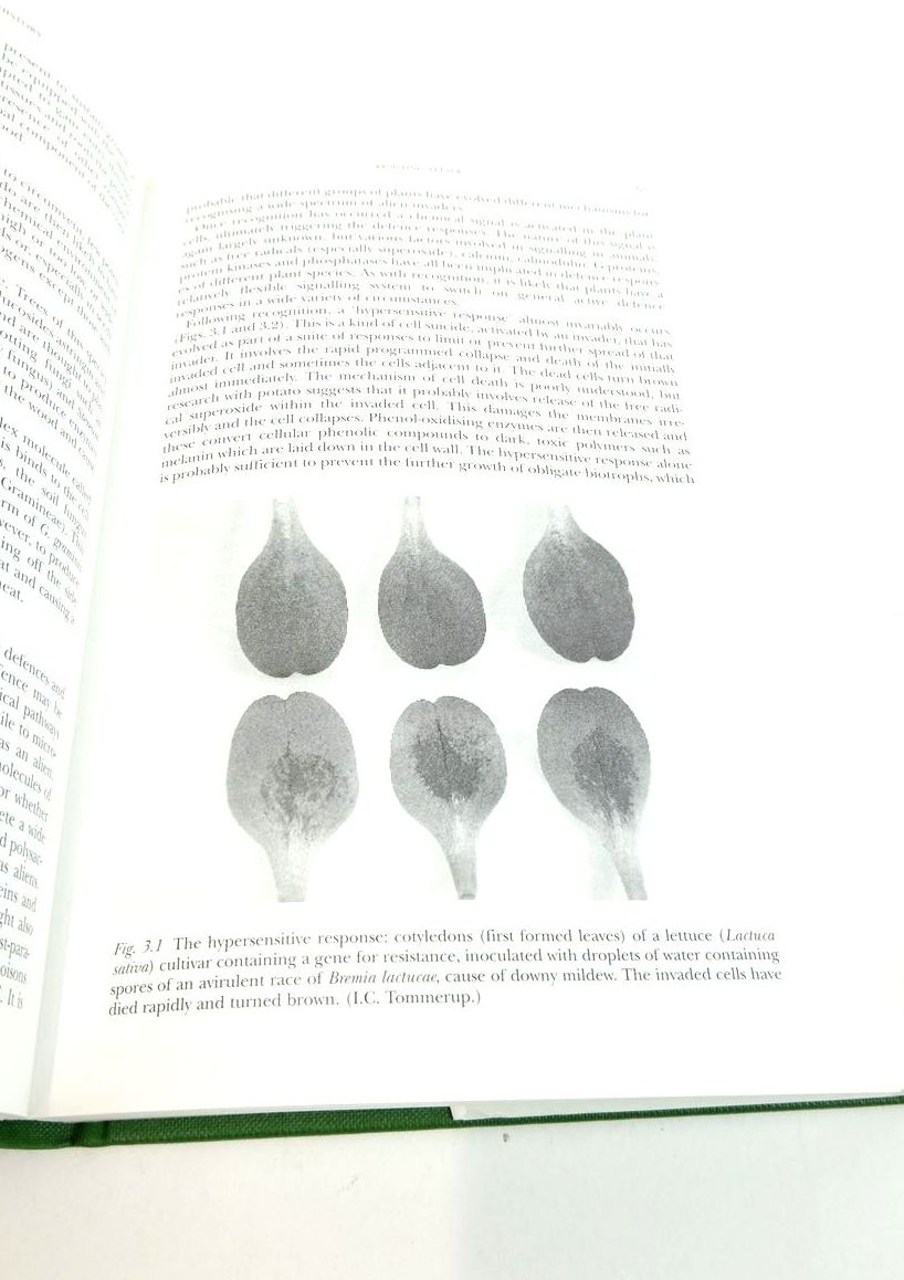Photo of PLANT DISEASE A NATURAL HISTORY (NN 85) written by Ingram, David
Robertson, Noel published by Harper Collins (STOCK CODE: 1822373)  for sale by Stella & Rose's Books