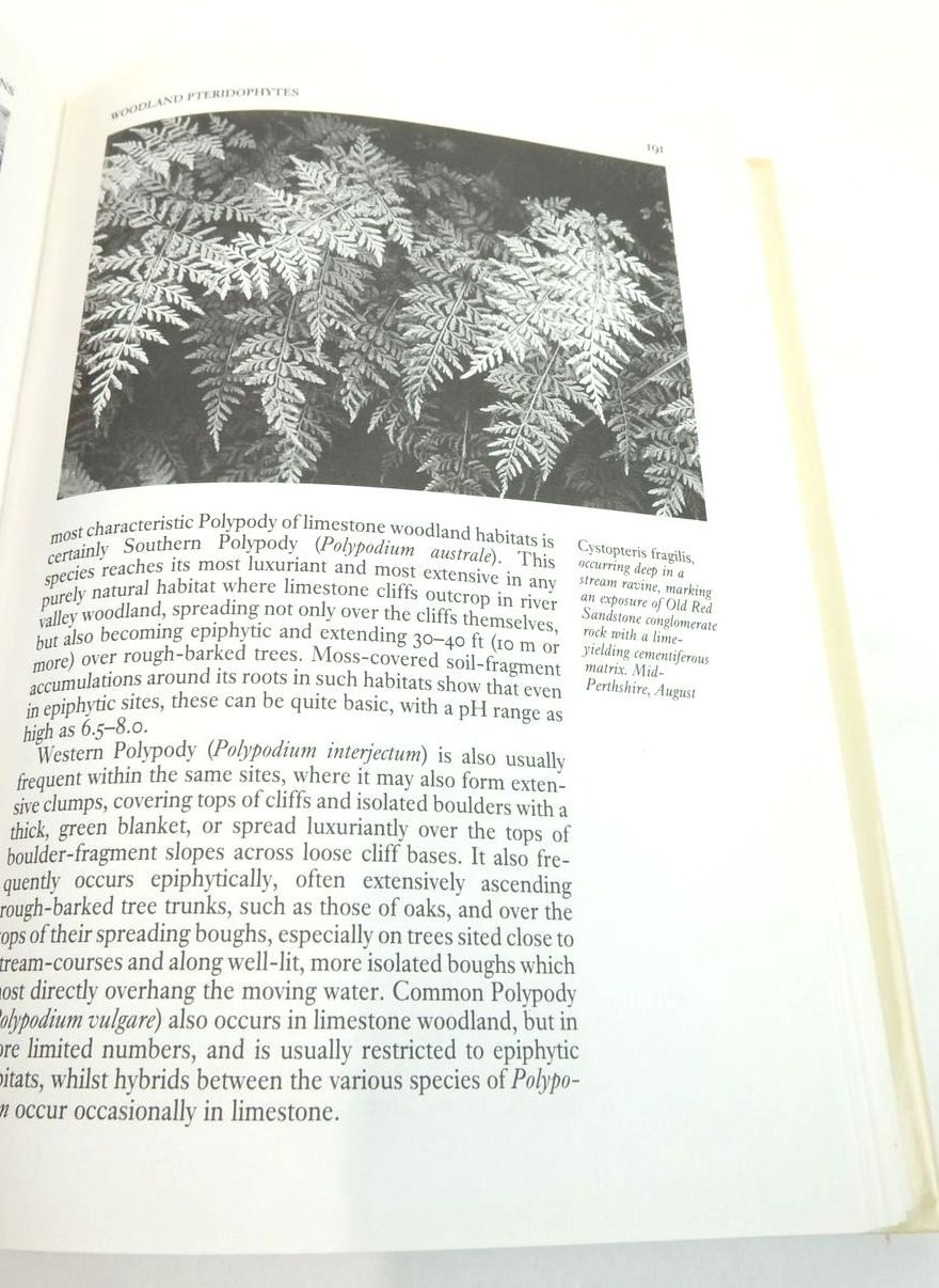 Photo of FERNS (NN 74) written by Page, Christopher N. published by Collins (STOCK CODE: 1823173)  for sale by Stella & Rose's Books