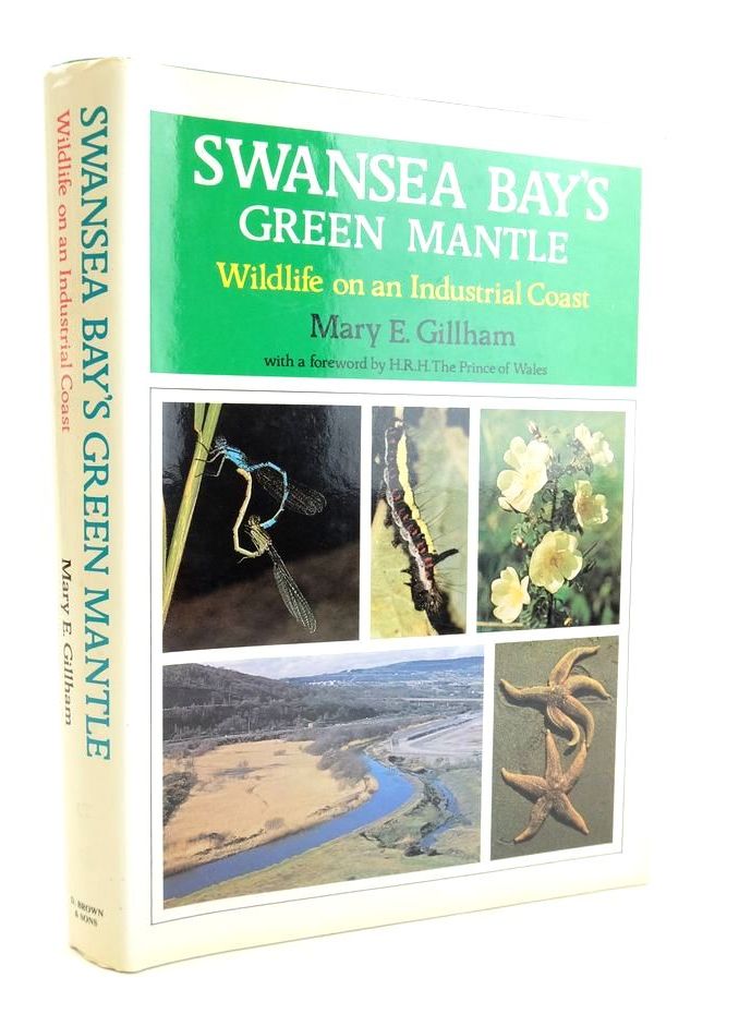 Photo of SWANSEA BAY'S GREEN MANTLE- Stock Number: 1824161