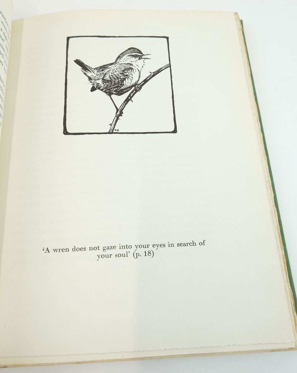 Photo of A BIRD IN THE BUSH written by Young, E. Hilton illustrated by Scott, Peter published by Country Life (STOCK CODE: 1824226)  for sale by Stella & Rose's Books