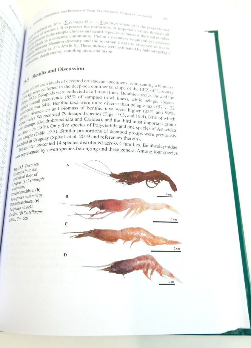 Photo of DEEP-SEA PYCNOGONIDS AND CRUSTACEANS OF THE AMERICAS written by Hendrickx, Michael E. published by Springer (STOCK CODE: 1824642)  for sale by Stella & Rose's Books
