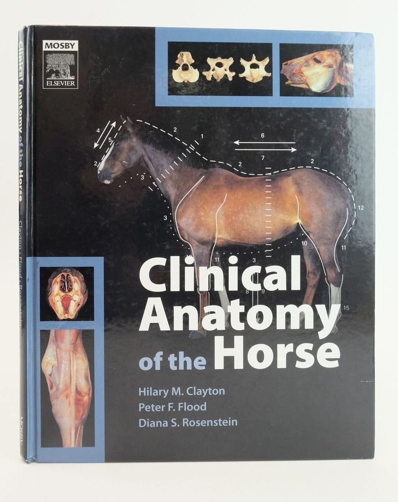 Clinical Anatomy of The Horse