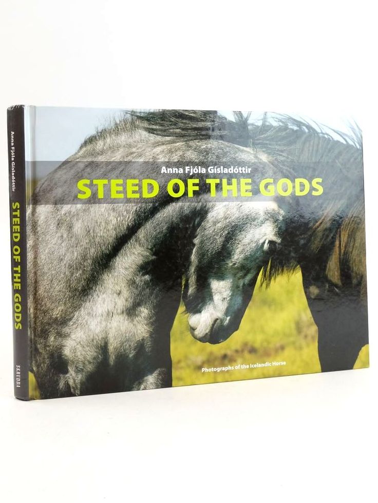 Photo of STEED OF THE GODS- Stock Number: 1824745