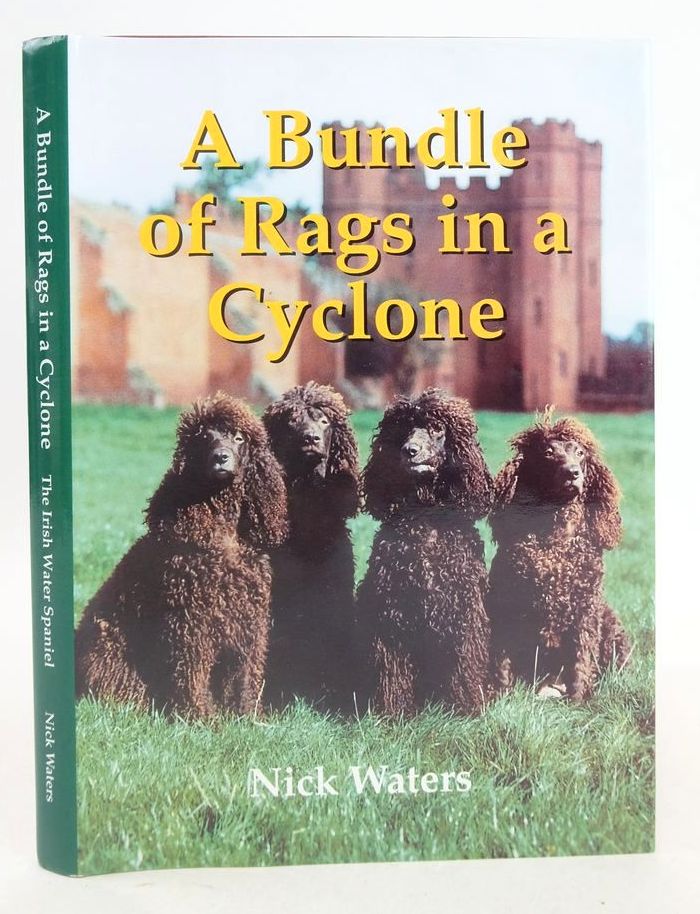 Photo of A BUNDLE OF RAGS IN A CYCLONE: THE IRISH WATER SPANIEL written by Waters, Nick published by Nick Waters (STOCK CODE: 1826636)  for sale by Stella & Rose's Books
