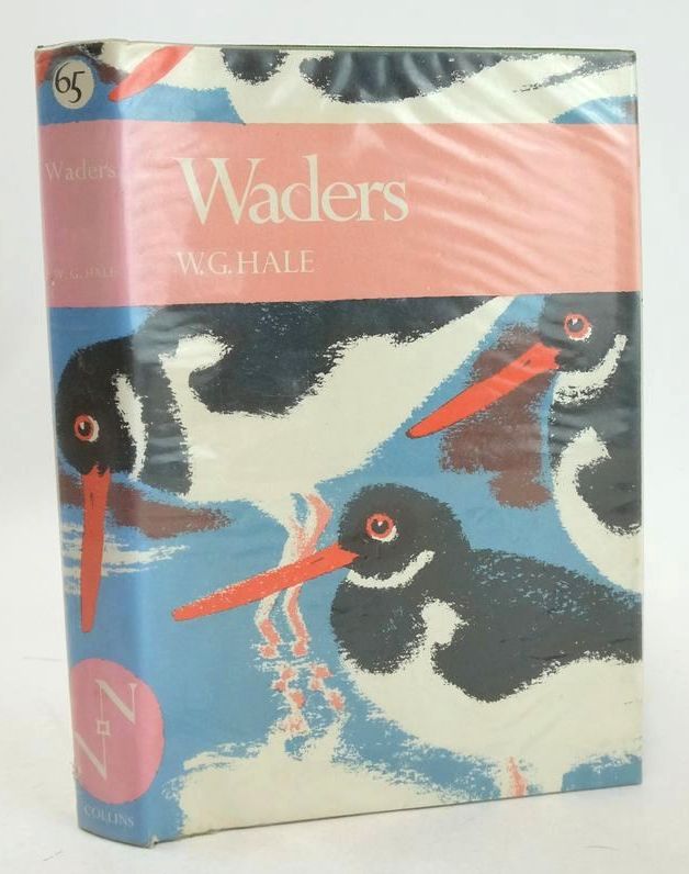 Photo of WADERS (NN 65)- Stock Number: 1827210