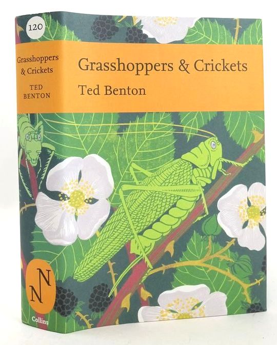 Photo of GRASSHOPPERS &AMP; CRICKETS (NN 120) written by Benton, Ted published by Collins (STOCK CODE: 1827268)  for sale by Stella & Rose's Books