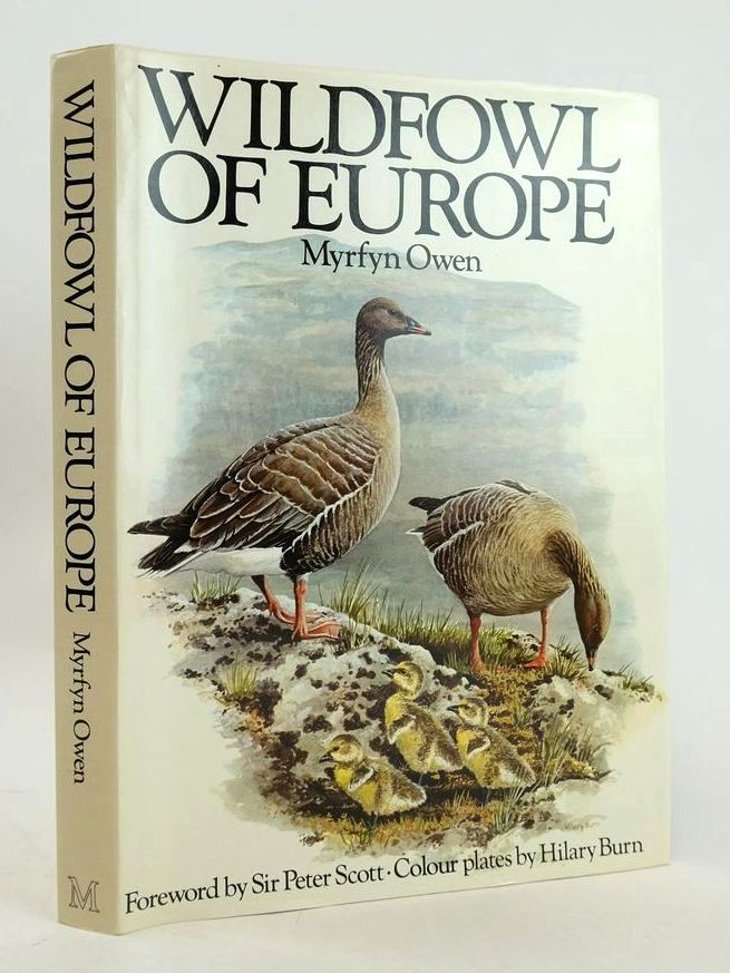 Photo of WILDFOWL OF EUROPE- Stock Number: 1827283
