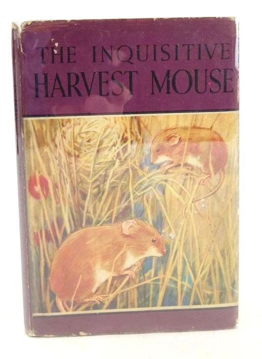 Photo of THE INQUISITIVE HARVEST MOUSE written by Barr, Noel illustrated by Hickling, P.B. published by Wills &amp; Hepworth Ltd. (STOCK CODE: 1827759)  for sale by Stella & Rose's Books