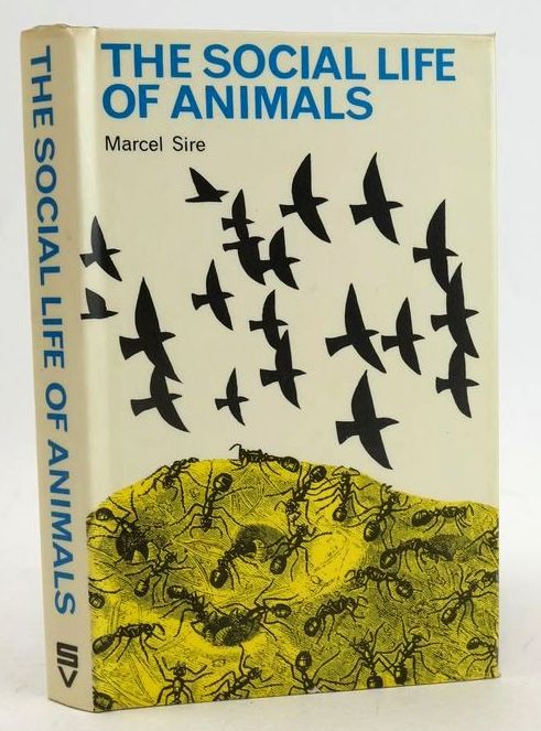 Photo of SOCIAL LIFE OF ANIMALS- Stock Number: 1828234