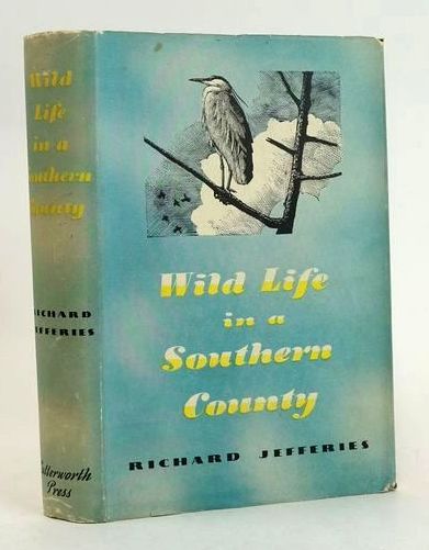 Photo of WILD LIFE IN A SOUTHERN COUNTY- Stock Number: 1830134