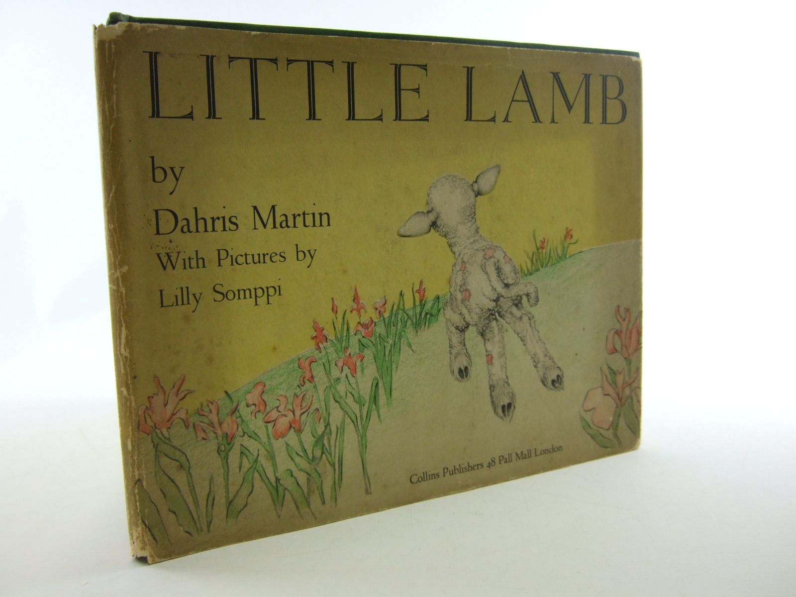 Photo of LITTLE LAMB- Stock Number: 2106463