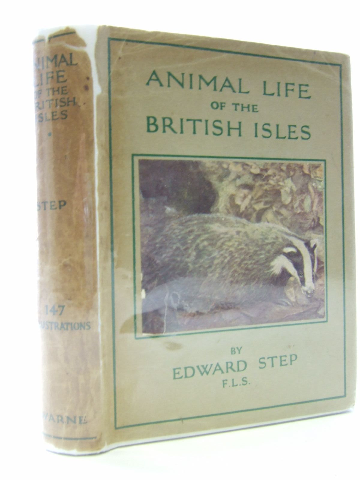 Photo of ANIMAL LIFE OF THE BRITISH ISLES written by Step, Edward published by Frederick Warne & Co Ltd. (STOCK CODE: 2106809)  for sale by Stella & Rose's Books
