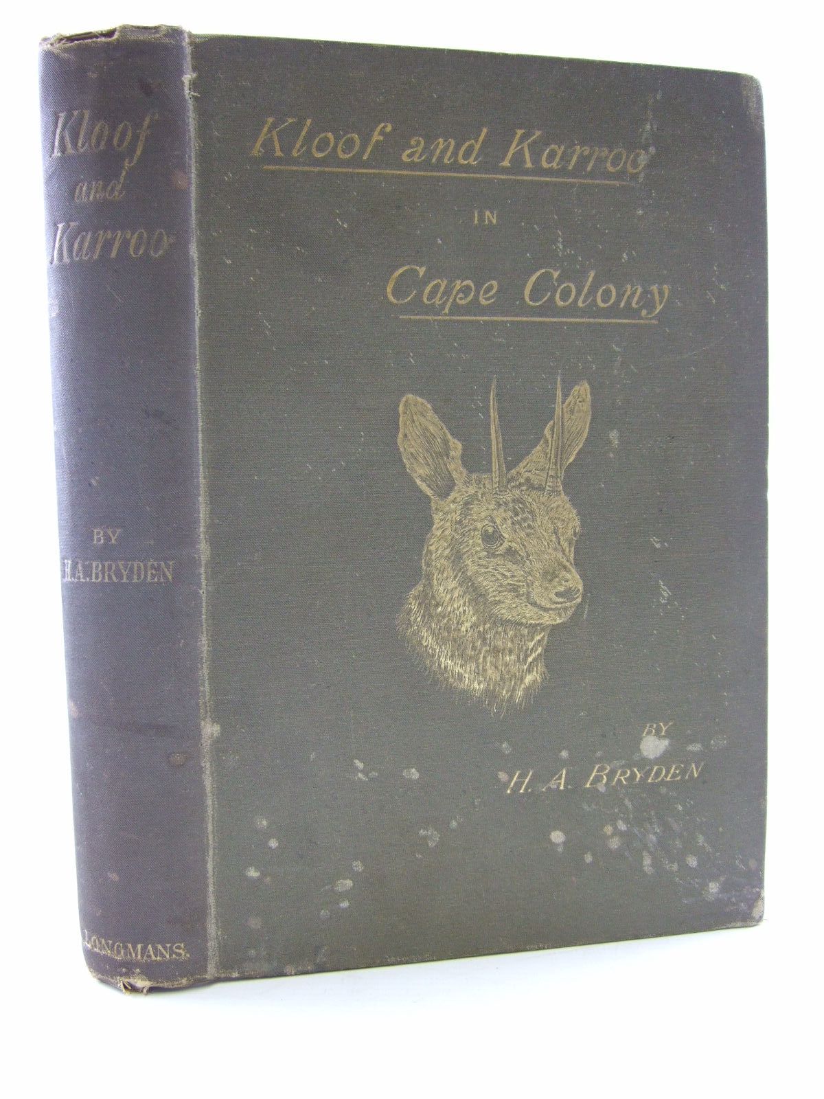 Photo of KLOOF AND KARROO- Stock Number: 2107907