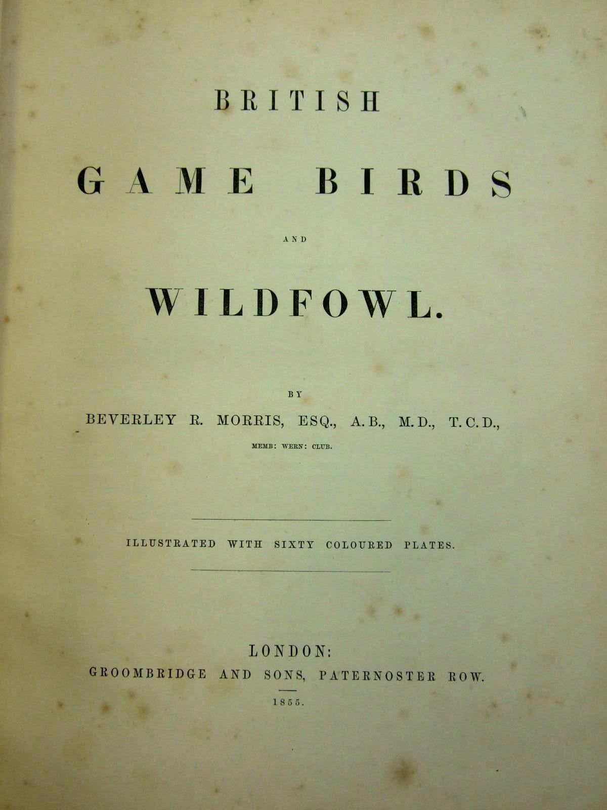 Photo of BRITISH GAME BIRDS AND WILDFOWL written by Morris, Beverley R. published by Groombridge & Sons (STOCK CODE: 2109803)  for sale by Stella & Rose's Books