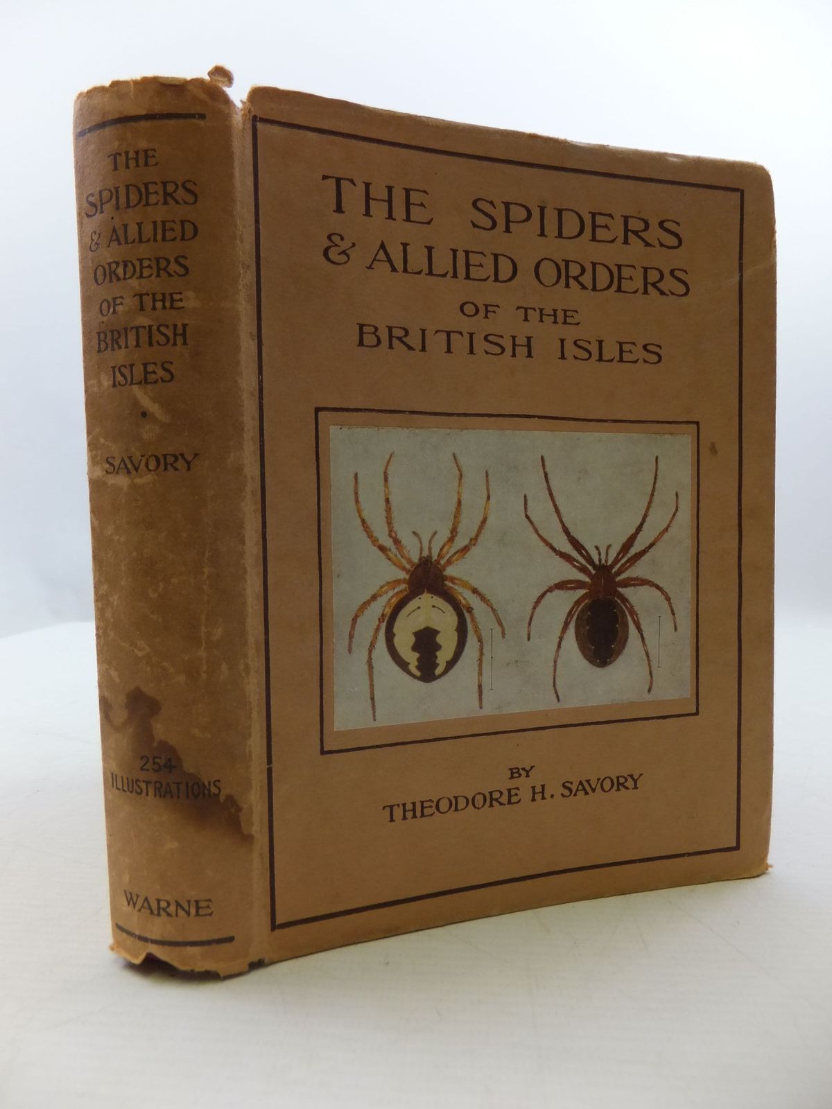 Photo of THE SPIDERS AND ALLIED ORDERS OF THE BRITISH ISLES written by Savory, Theodore H. illustrated by Brummitt, Florence M. published by Frederick Warne &amp; Co Ltd. (STOCK CODE: 2110344)  for sale by Stella & Rose's Books