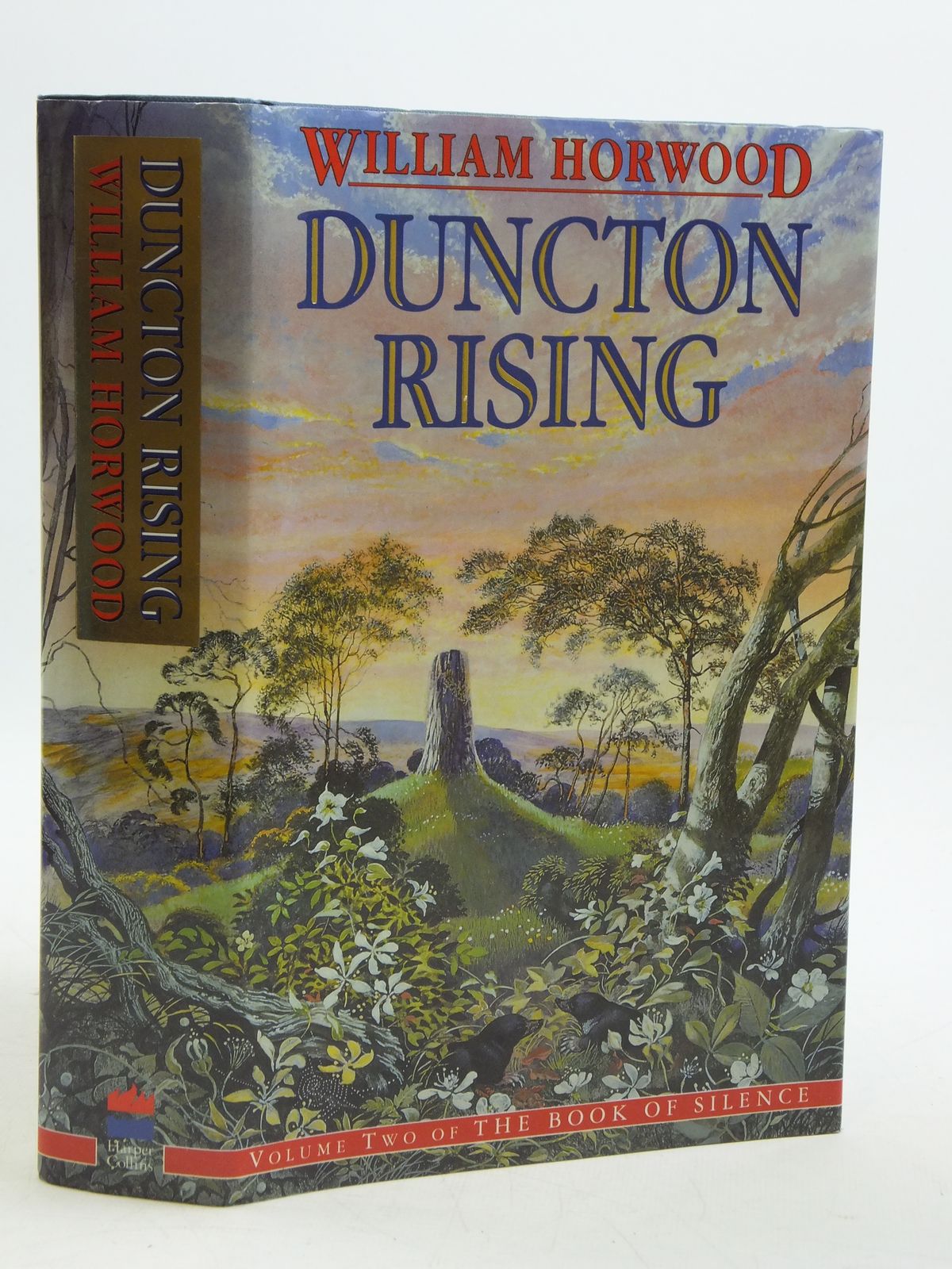 Photo of DUNCTON RISING- Stock Number: 2110716