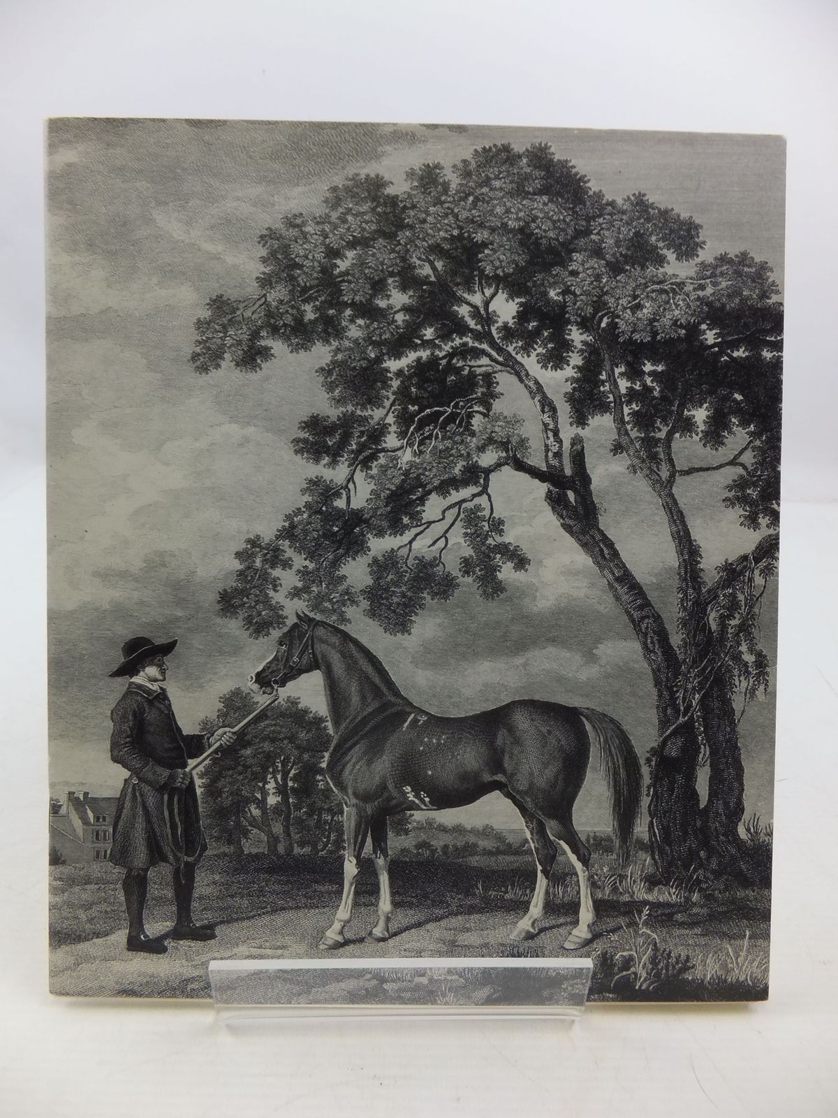 Photo of THE ENTERPRISING MR STUBBS published by Arthur Ackermann (STOCK CODE: 2111209)  for sale by Stella & Rose's Books