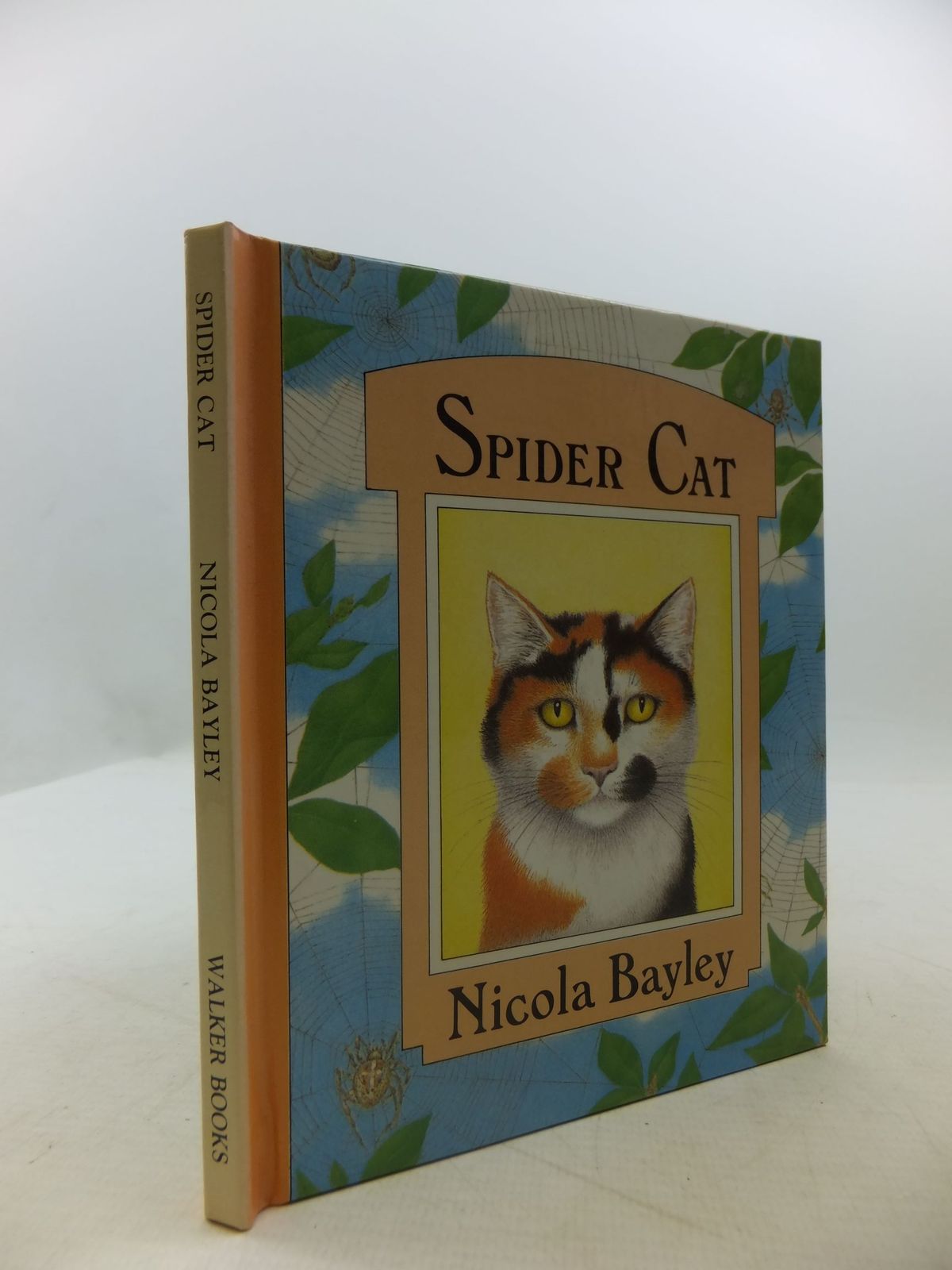 Photo of SPIDER CAT written by Bayley, Nicola illustrated by Bayley, Nicola published by Walker Books (STOCK CODE: 2111597)  for sale by Stella & Rose's Books