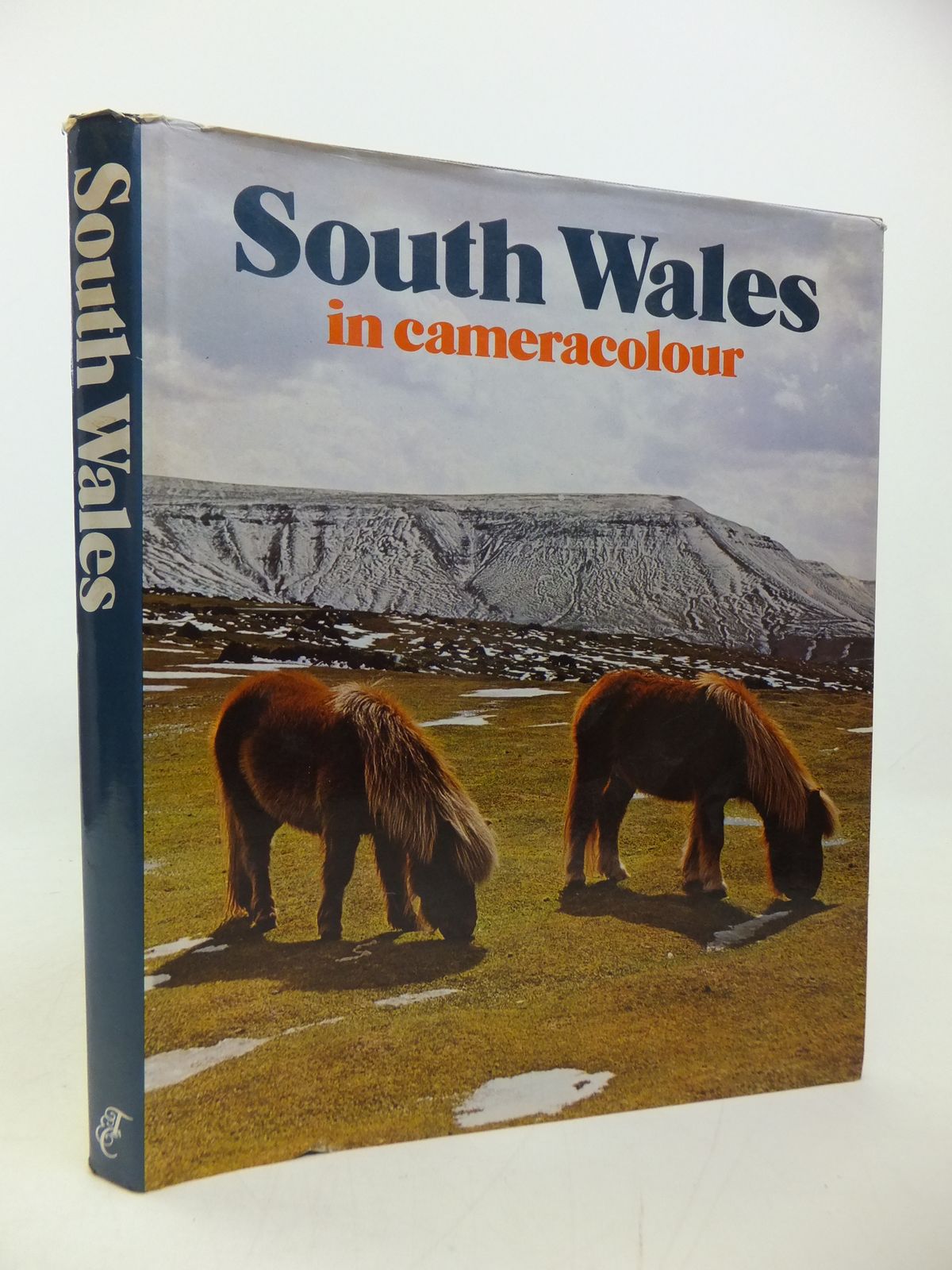 Photo of SOUTH WALES IN CAMERACOLOUR written by Forss, Derek published by Town County Books (STOCK CODE: 2113195)  for sale by Stella & Rose's Books