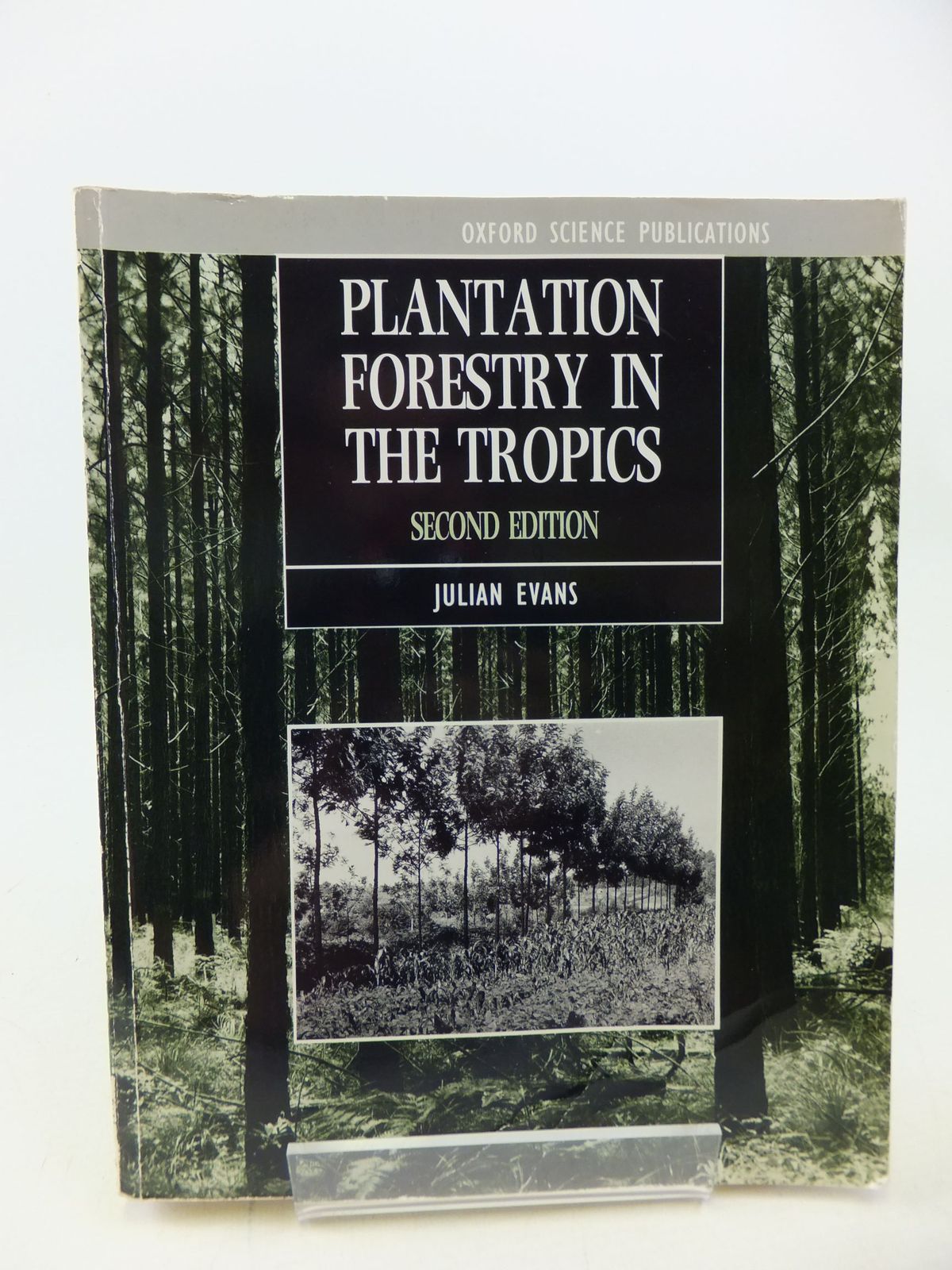 Photo of PLANTATION FORESTRY IN THE TROPICS- Stock Number: 2113408