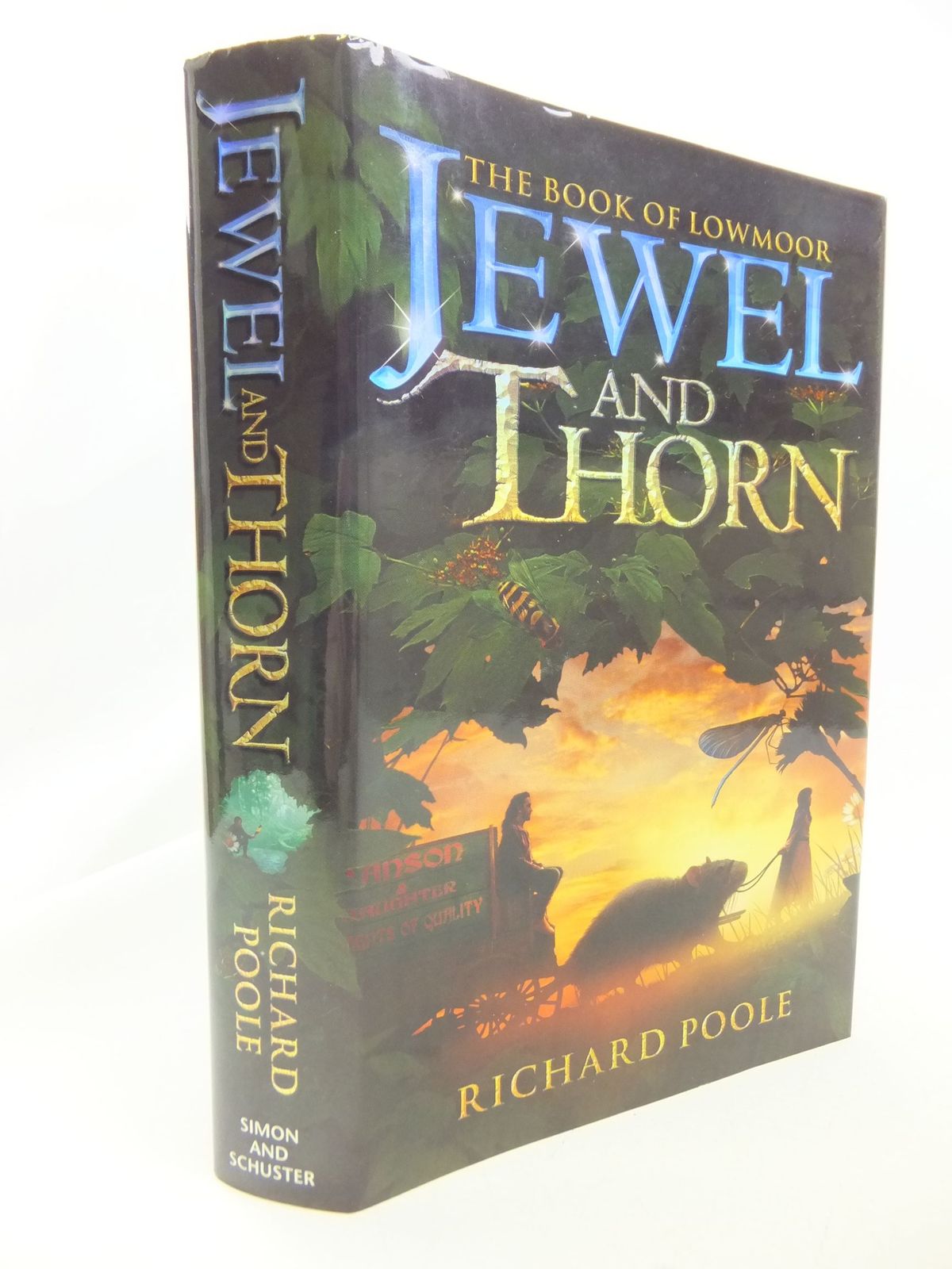 Photo of JEWEL AND THORN written by Poole, Richard published by Simon &amp; Schuster (STOCK CODE: 2114521)  for sale by Stella & Rose's Books