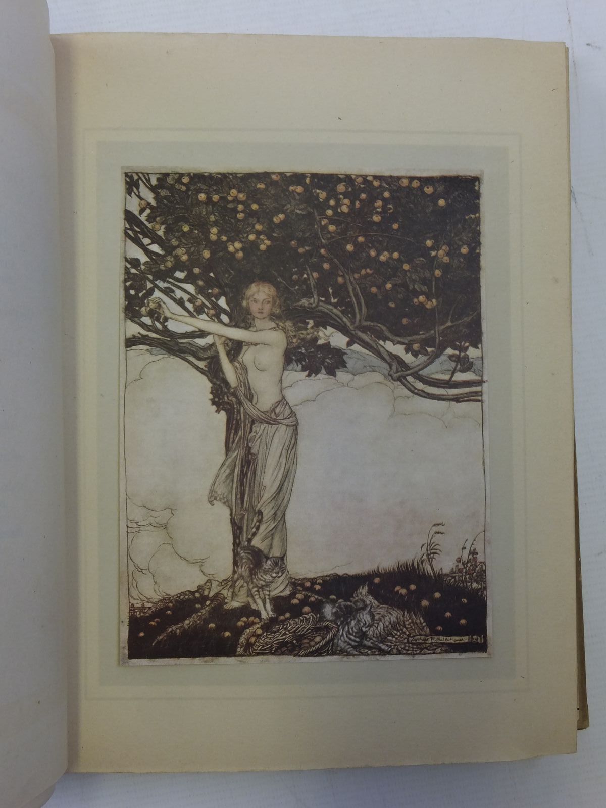Photo of THE RHINEGOLD & THE VALKYRIE written by Wagner, Richard
Armour, Margaret illustrated by Rackham, Arthur published by William Heinemann (STOCK CODE: 2118149)  for sale by Stella & Rose's Books