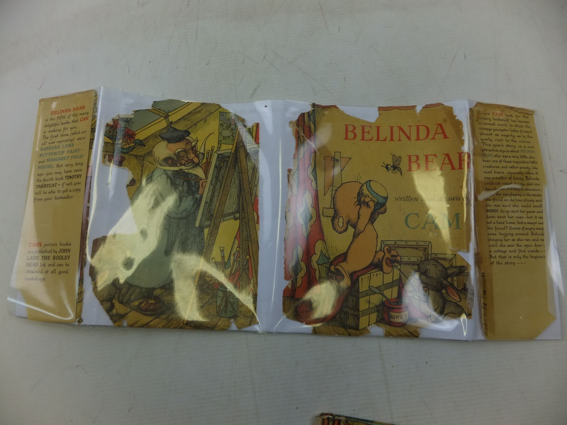Photo of BELINDA BEAR written by Cam,  illustrated by Cam,  published by The Bodley Head (STOCK CODE: 2118399)  for sale by Stella & Rose's Books