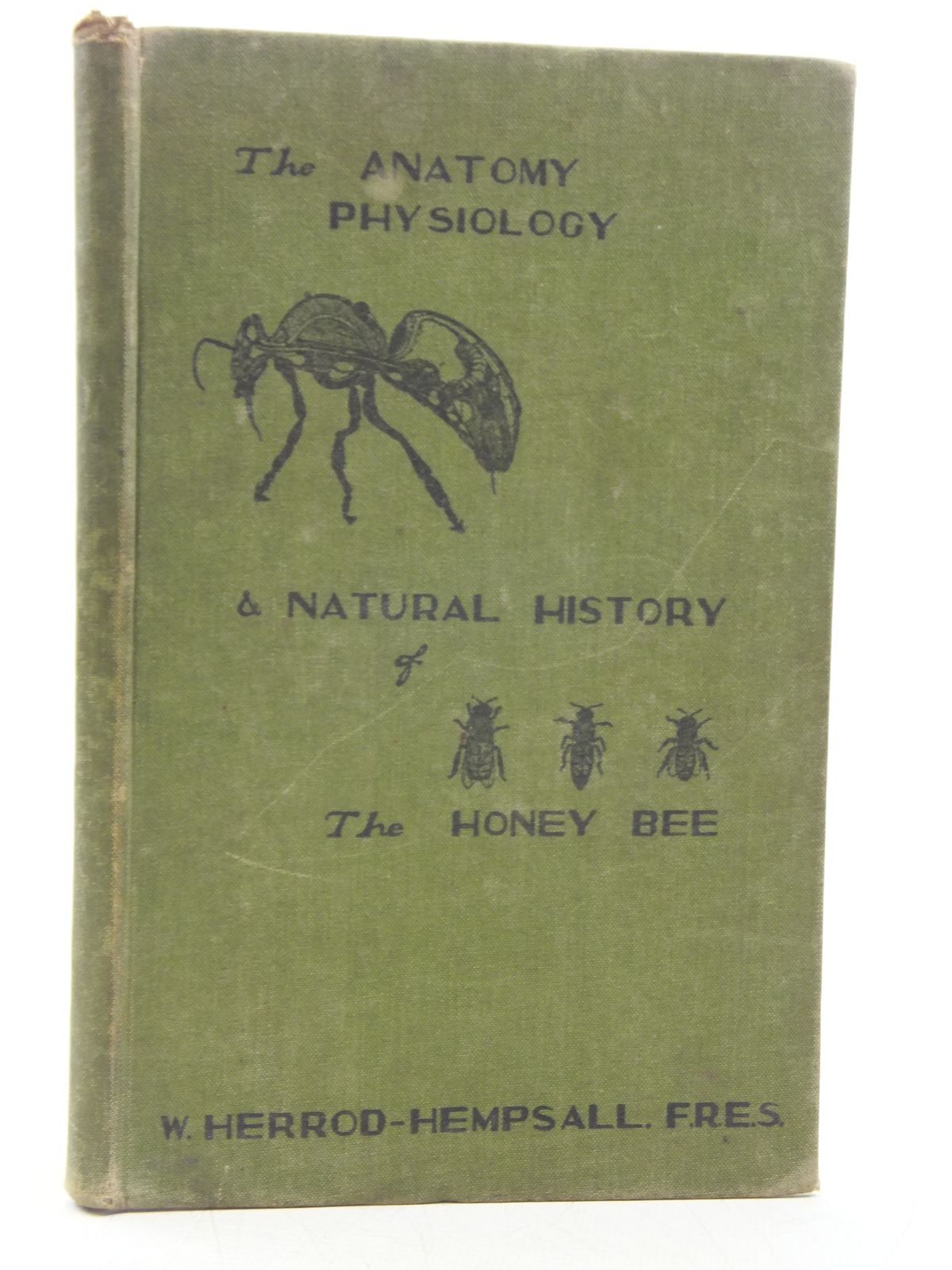 Stella & Rose's Books THE ANATOMY, PHYSIOLOGY AND NATURAL HISTORY OF