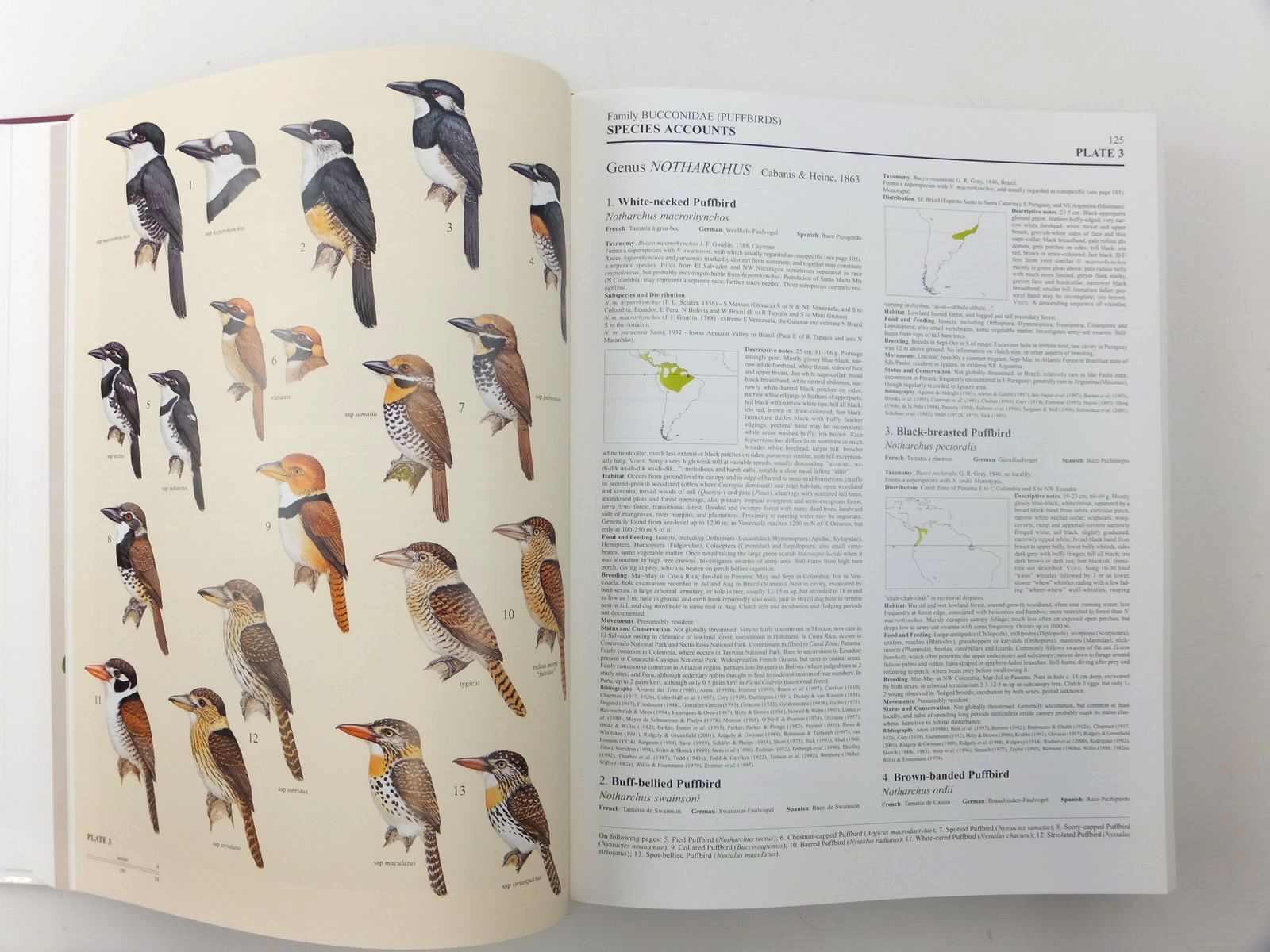Photo of HANDBOOK OF THE BIRDS OF THE WORLD VOLUME 7: JACAMARS TO WOODPECKERS written by Del Hoyo, Josep
Elliott, Andrew
Sargatal, Jordi
et al,  illustrated by Byers, Clive
Burn, Hilary
Cox, John
et al.,  published by Lynx Edicions (STOCK CODE: 2123516)  for sale by Stella & Rose's Books