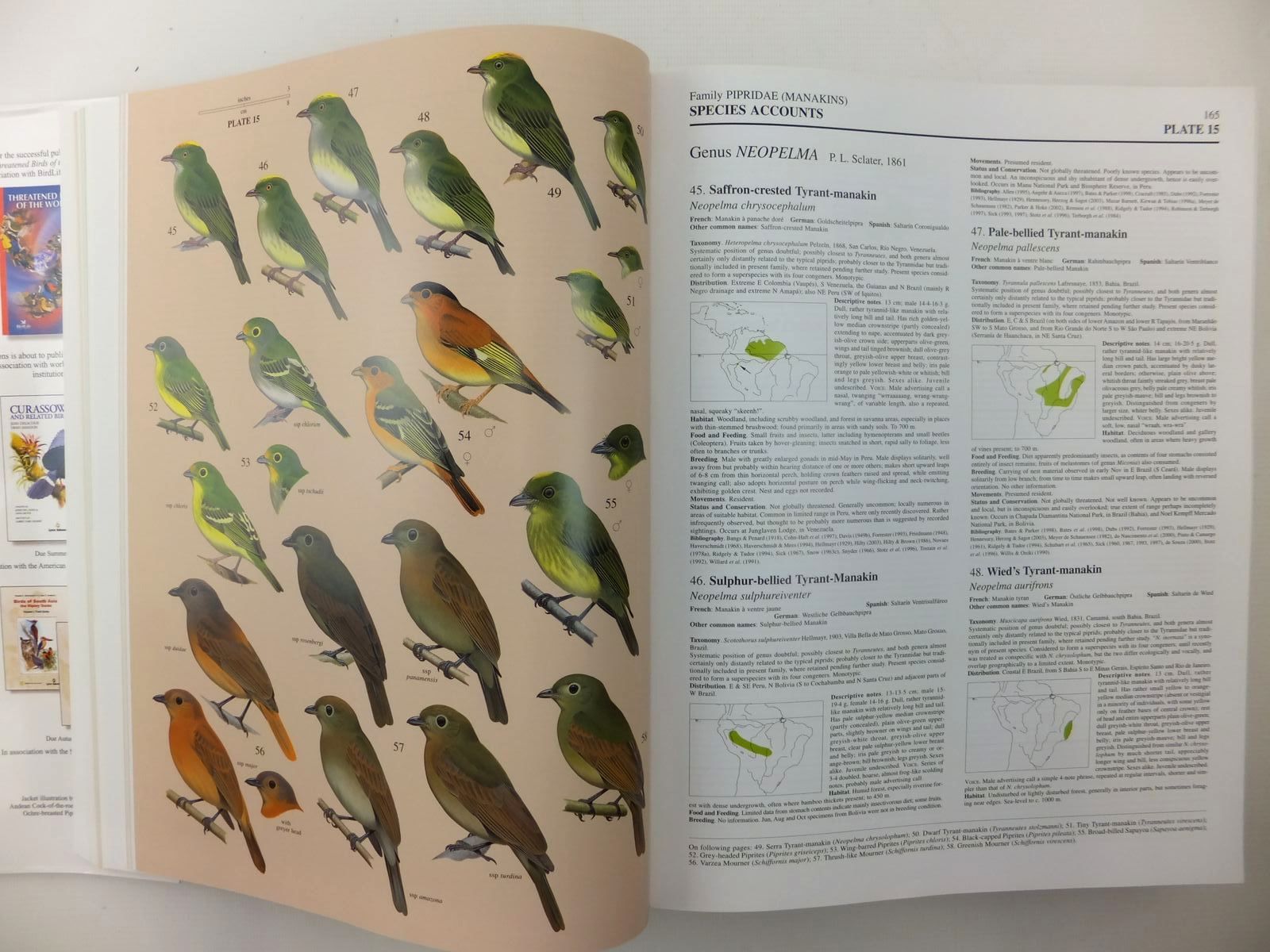 Photo of HANDBOOK OF THE BIRDS OF THE WORLD VOLUME 9: COTINGAS TO PIPITS AND WAGTAILS written by Del Hoyo, Josep
Elliott, Andrew
Christie, David
et al,  illustrated by Arlott, Norman
Burn, Hilary
Cox, John
et al.,  published by Lynx Edicions (STOCK CODE: 2123525)  for sale by Stella & Rose's Books