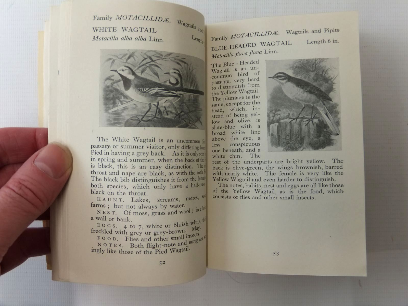 Photo of THE OBSERVER'S BOOK OF BRITISH BIRDS written by Benson, S. Vere published by Frederick Warne & Co Ltd. (STOCK CODE: 2123616)  for sale by Stella & Rose's Books