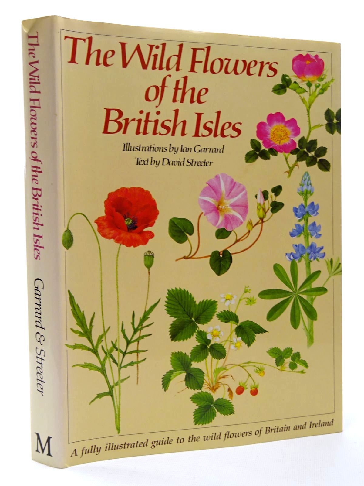 Stella & Rose's Books