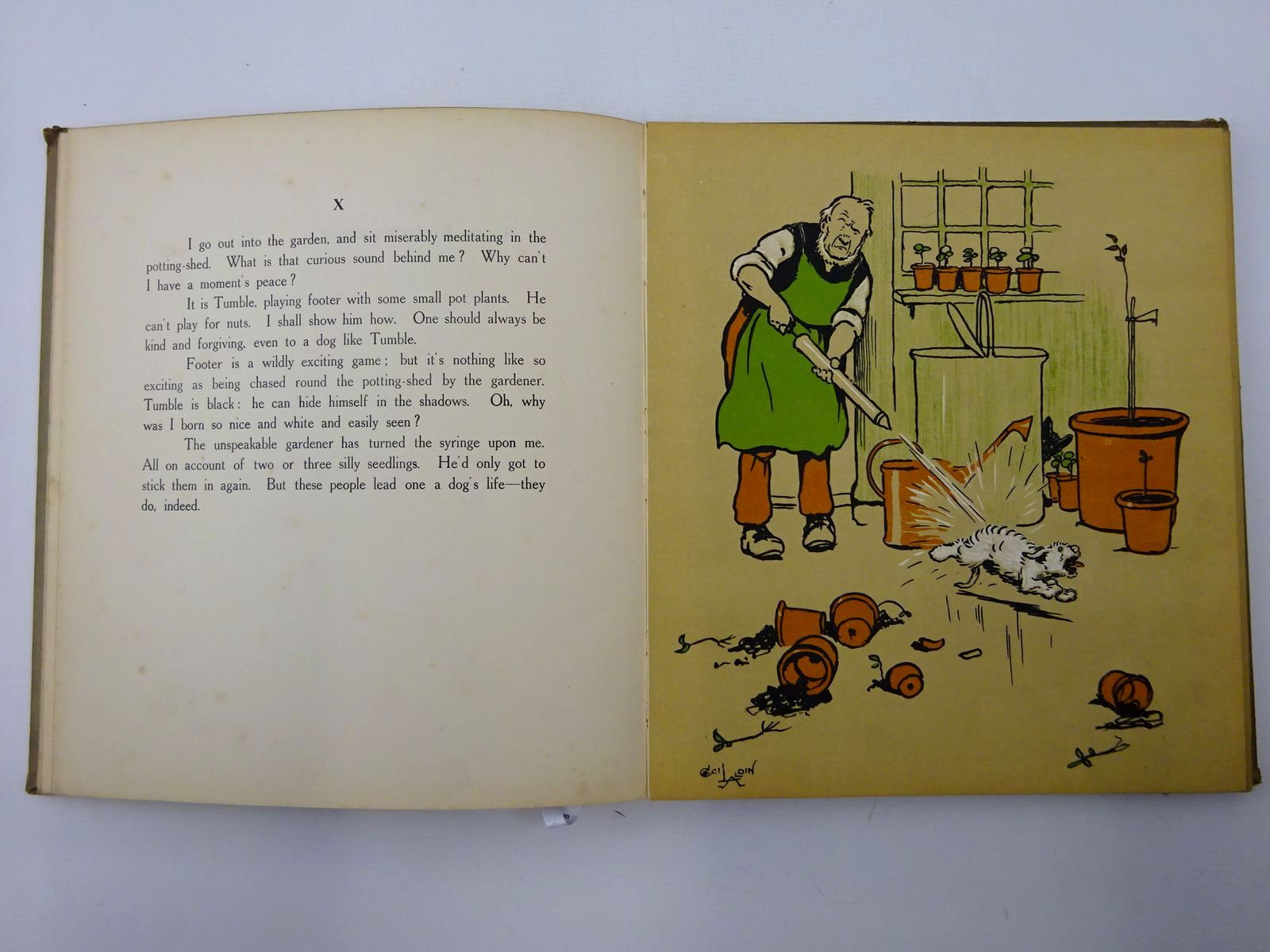 Stella & Rose's Books ROUGH AND TUMBLE Written By Cecil Aldin, STOCK