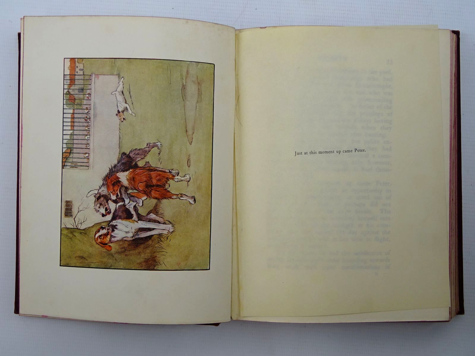 Photo of WHITE-EAR AND PETER written by Heiberg, Neils illustrated by Aldin, Cecil published by Macmillan & Co. Ltd. (STOCK CODE: 2125302)  for sale by Stella & Rose's Books