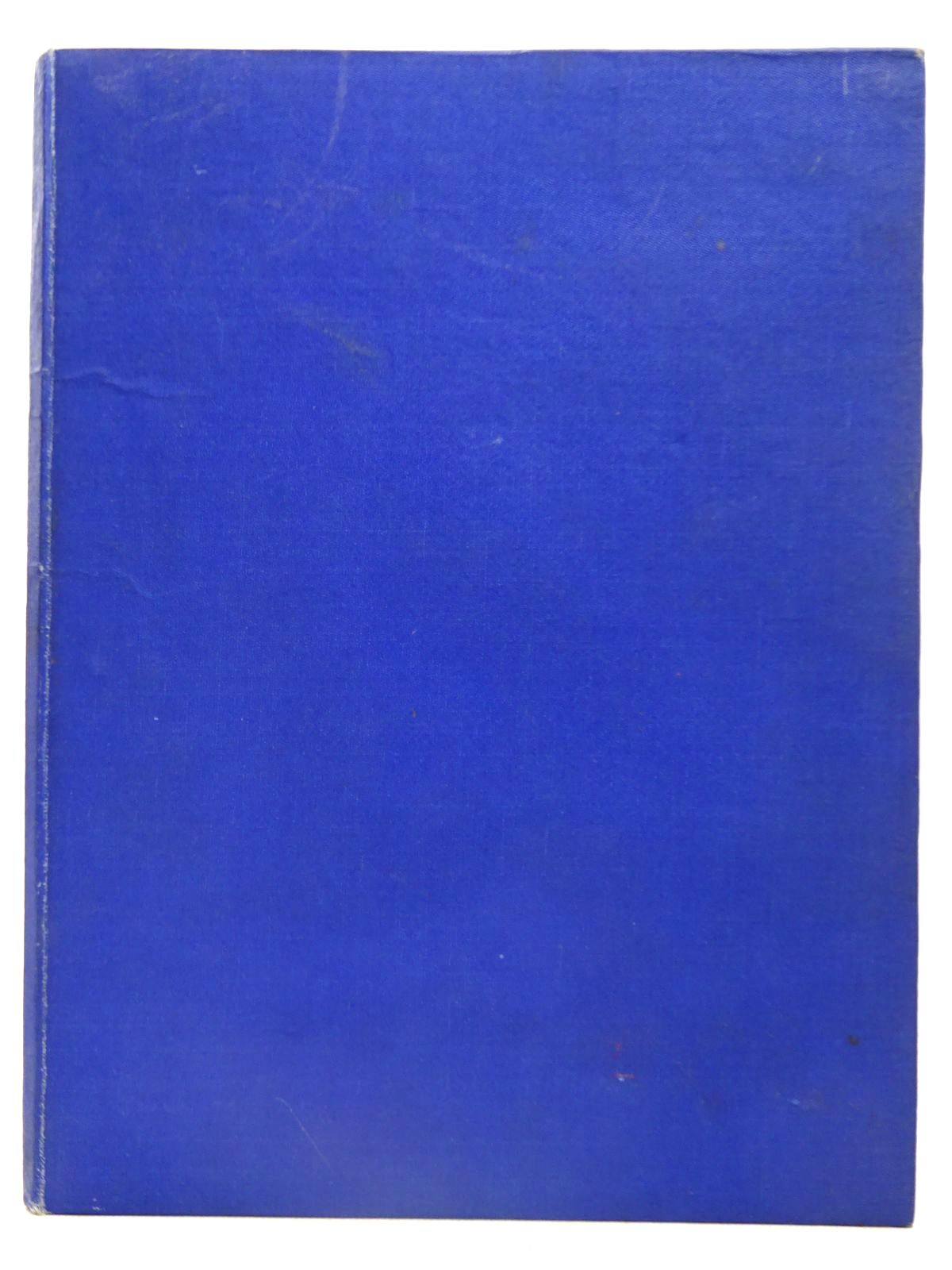 Photo of IN CHINGALEE- Stock Number: 2126685