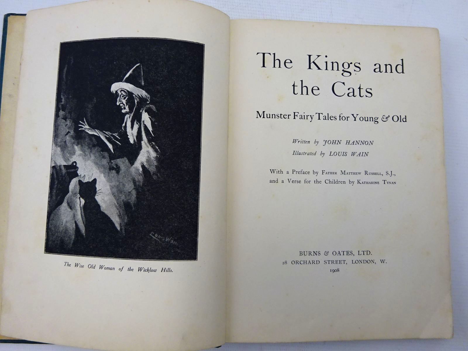 Photo of THE KINGS AND THE CATS written by Hannon, John illustrated by Wain, Louis published by Burns & Oates (STOCK CODE: 2127497)  for sale by Stella & Rose's Books