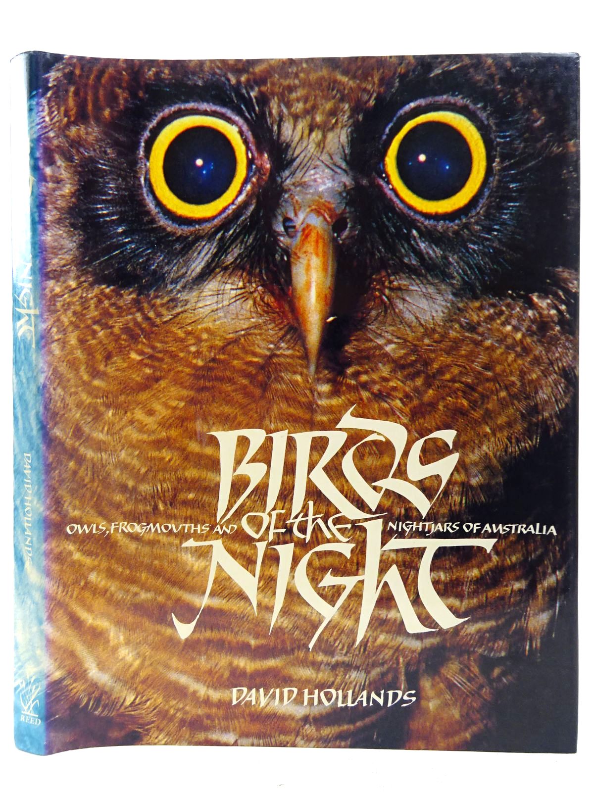 Photo of BIRDS OF THE NIGHT written by Hollands, David published by Reed Books Pty Ltd. (STOCK CODE: 2127661)  for sale by Stella & Rose's Books