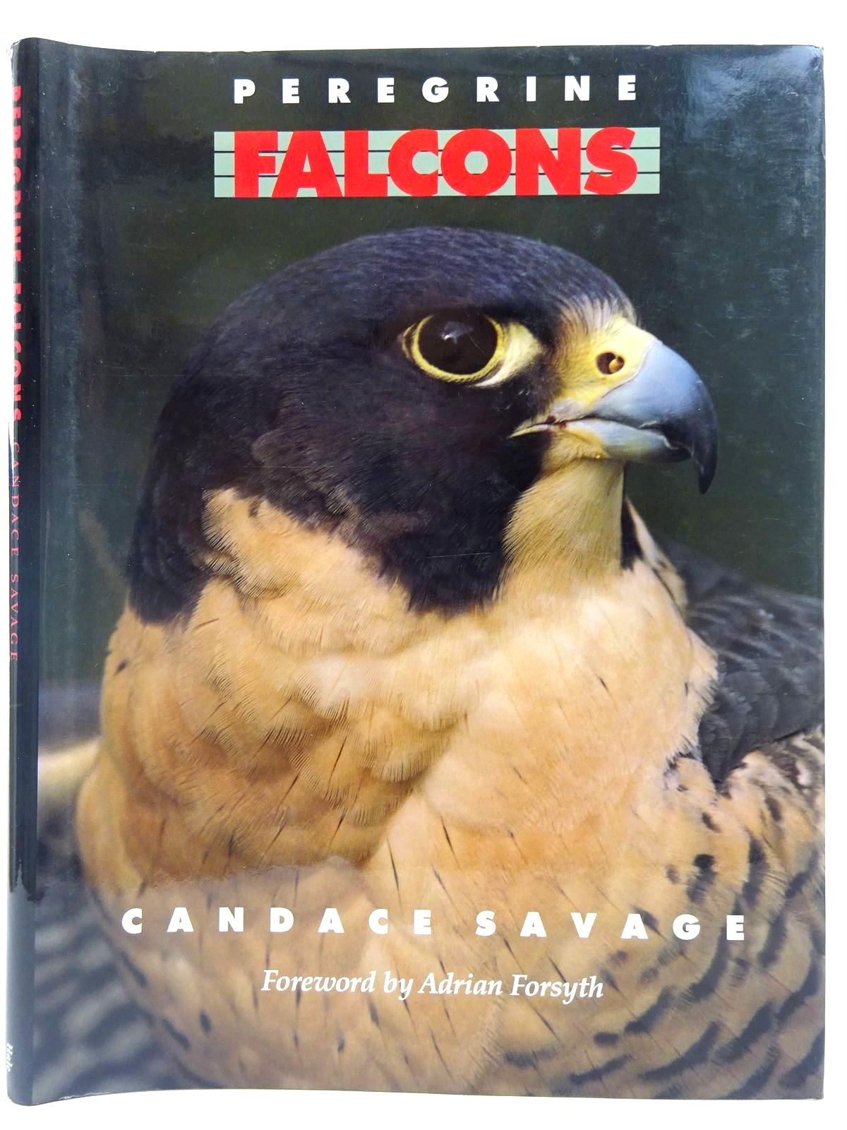 Photo of PEREGRINE FALCONS written by Savage, Candace published by Robert Hale (STOCK CODE: 2127744)  for sale by Stella & Rose's Books