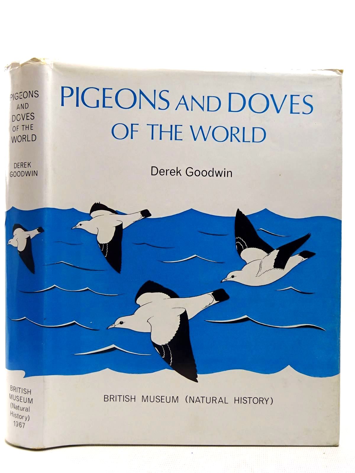 Photo of PIGEONS AND DOVES OF THE WORLD- Stock Number: 2127819